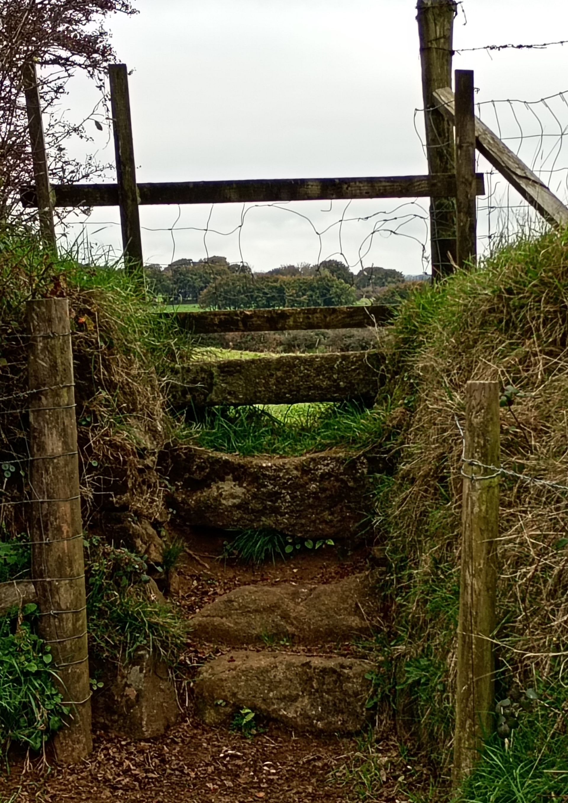 Stile on the walk